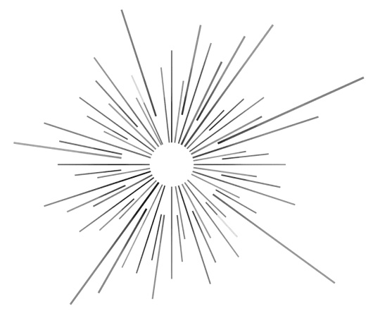 BodhiMetrics (exited in 2020) logo